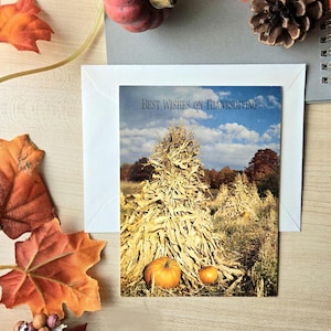 vintage THANKSGIVING Greeting Card,  glossy photo fall pumpkins photograph, dried corn husks,  best wishes friends and family,  hallmark NOS