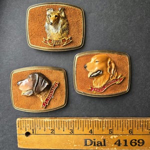 May include: Three vintage dog breed belt buckles. The buckles feature a Collie, a Golden Retriever, and a G. Shorthair, each with a detailed relief of the dog's head. The buckles have a brown suede-like background and a gold-colored metal frame.