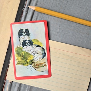 1 Vintage illustrated pekingese dog black and white trading card, small print picture, for old ephemera scrapbook journal, 1950s