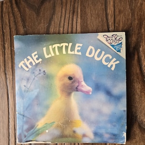 1976 Vintage Kid&#39;s Picture Book The Little Duck Pictureback, Animal, Bird, retro 70s Children&#39;s nonfiction homeschool educational, farm