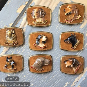 May include: A collection of vintage dog breed belt buckles. Each buckle features a detailed, three-dimensional dog head on a brown suede background, framed in gold. Breeds include Collie, Brittany, and Doberman. The text "SOLD individually" is visible.