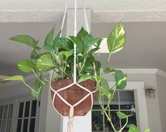 Macrame Plant Hanger
