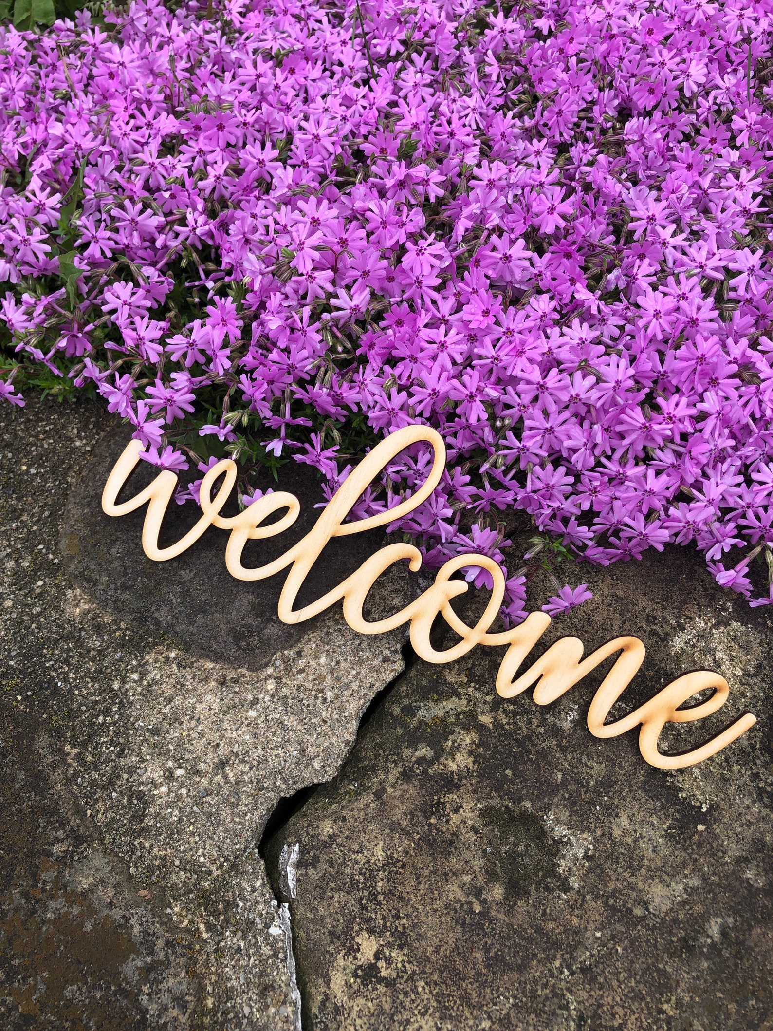 Wood Word Cutout Custom Wood Word Wood Cutout for Etsy