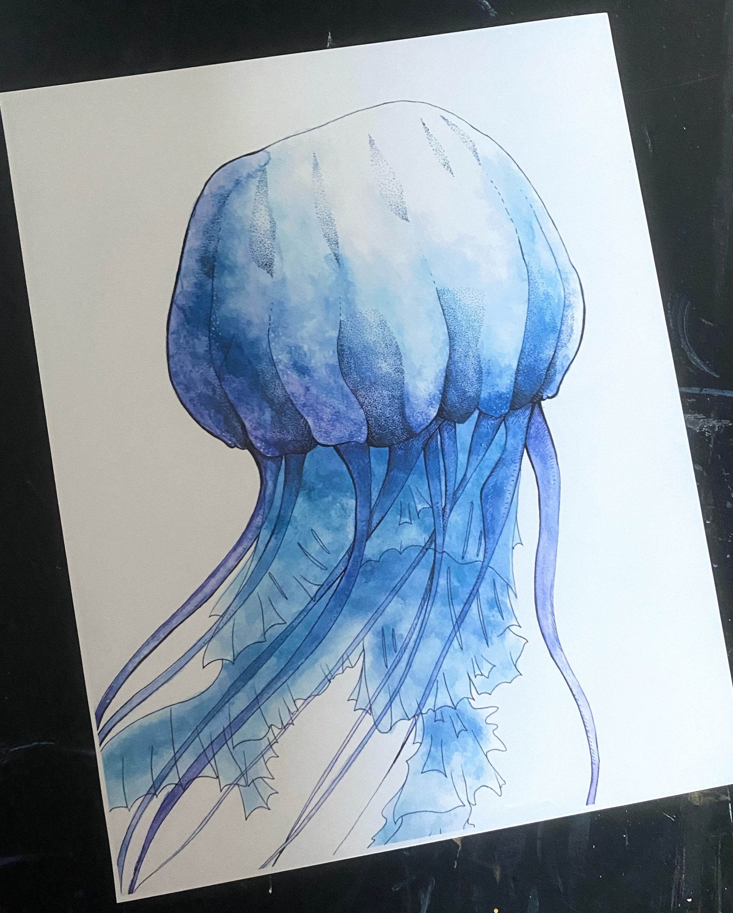 JELLYFISH 11x14 Art Print Pen and Ink Etsy