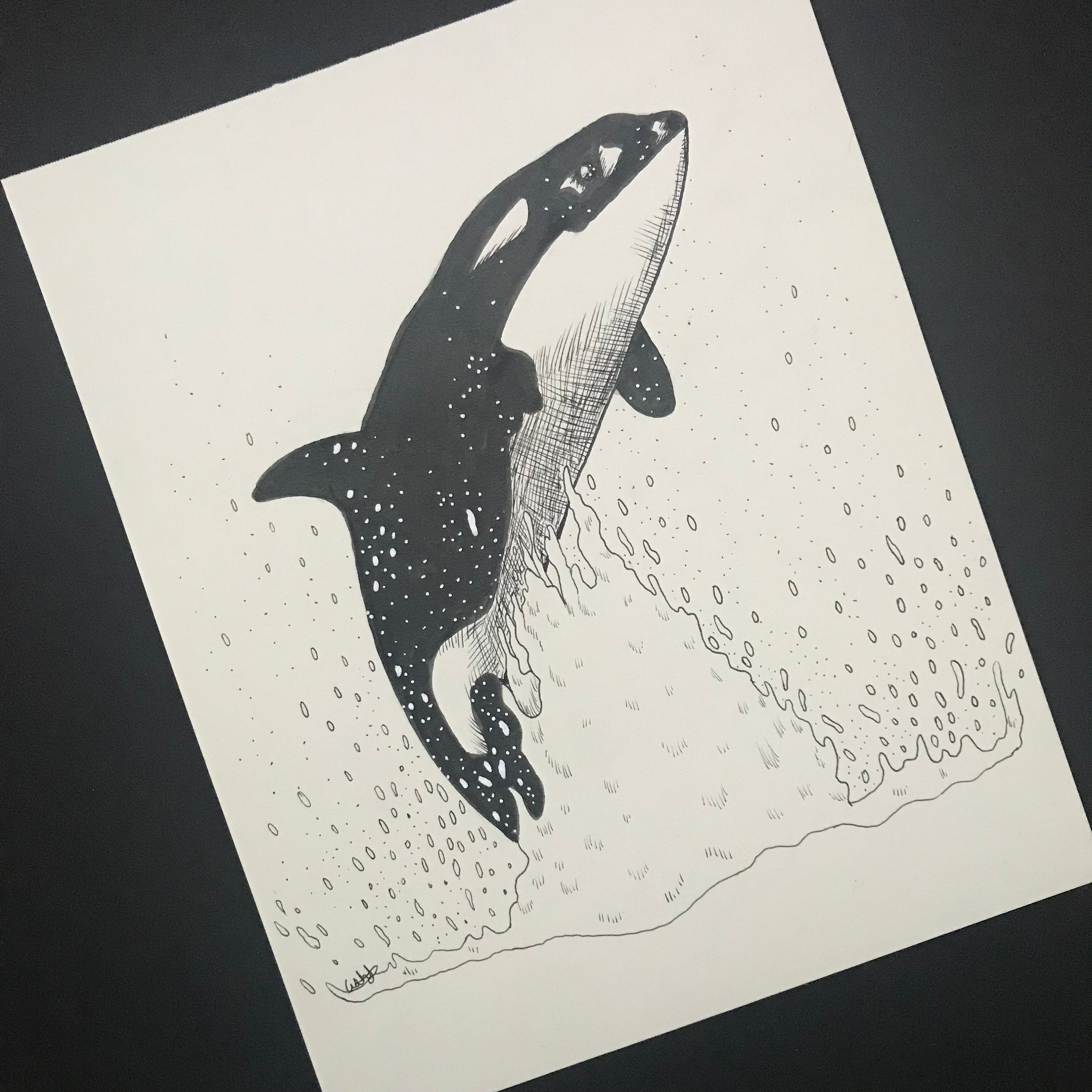 Animal Ink Drawing - Etsy Animal Ink Drawing - Etsy