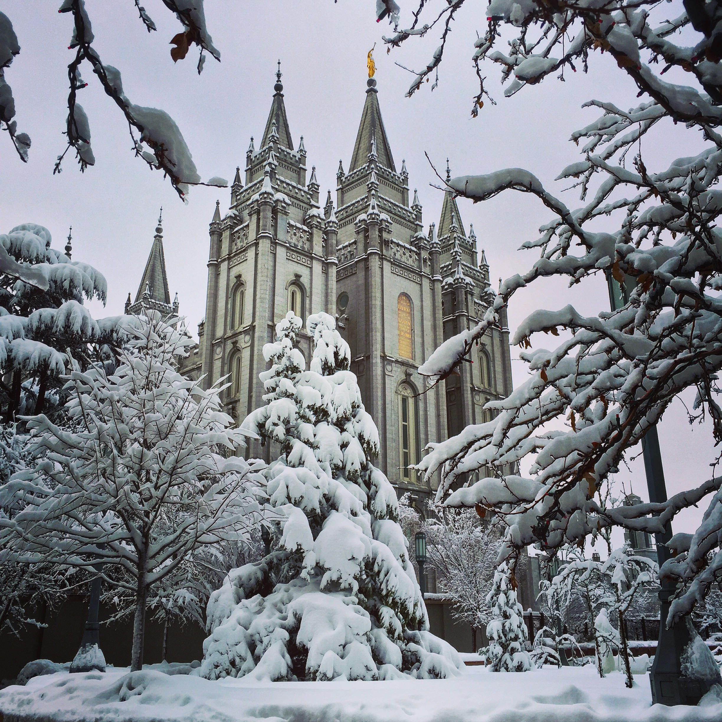 Salt Lake Temple in the Snow, LDS Salt Lake Temple, Mormon Temple Salt
