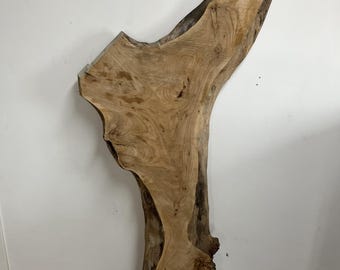 Live Edge Slab, Red Elm Slab, Kiln Dried, Planed, Ideal for Custom Tables and DIY Projects