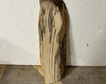 Spalted Hackberry Live Edge Slab, Kiln Dried, Planed Hardwood for Art, Furniture, or Decor