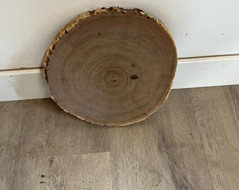 Black Walnut Cookie Slab, Live Edge, Wood Round for Tabletop, Art, or Display