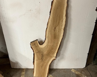Black Walnut Live Edge Slab, Kiln Dried, Planed, Forked Grain Statement Piece