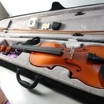 Violins
