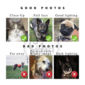 May include: A guide to taking good photos of pets. The top row shows examples of good photos: a close-up of a cat, a full-face shot of a German Shepherd, and a pug with good lighting. The bottom row shows examples of bad photos: a dog that is far away, a blurry image of a dog, and a dog in dark lighting.
