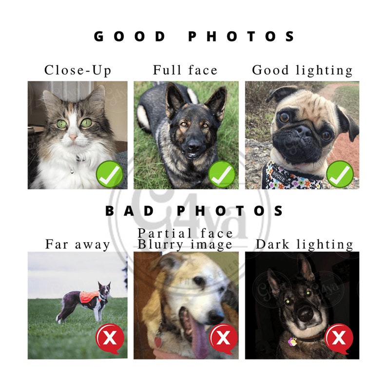 May include: A guide to taking good photos of pets. The top row shows examples of good photos: a close-up of a cat, a full-face shot of a German Shepherd, and a pug with good lighting. The bottom row shows examples of bad photos: a dog that is far away, a blurry image of a dog, and a dog in dark lighting.