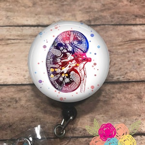 Kidney - badge reel - lanyard - stethoscope ID tag - retractable badge reel - badge clip