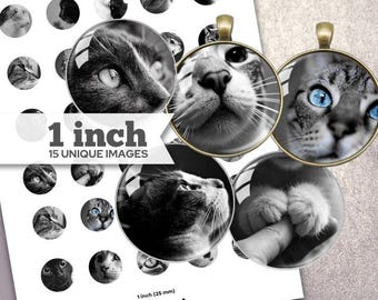 Katter BCI. Bilder på flaskkorkar. Utskrivbara cirklar på 2,5 cm. 25 mm cabochon. Bilder på glashängen. Digitalt collageark. Direkt nedladdning.
