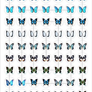 May include: A sheet of 49 round stickers featuring different butterfly designs. The butterflies are in various shades of blue, green, black, and white.