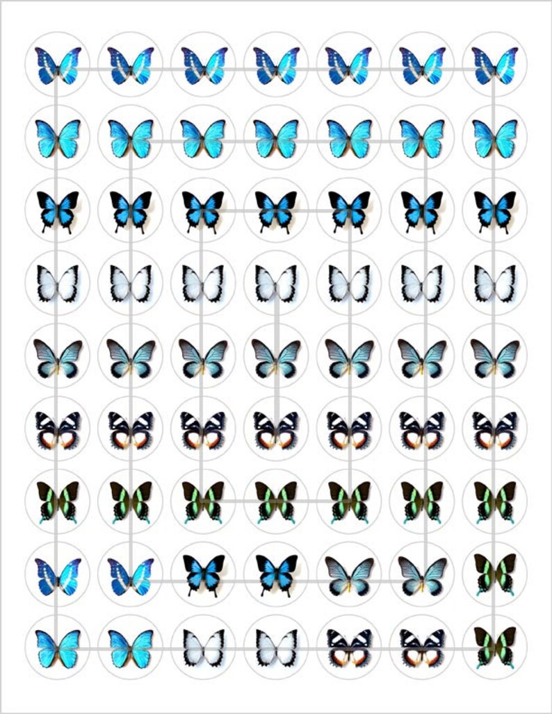 May include: A sheet of 49 round stickers featuring different butterfly designs. The butterflies are in various shades of blue, green, black, and white.