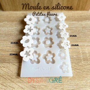 May include: White silicone mold with 15 small flower shapes. The mold is labeled "Moule en silicone Petites fleurs" and has measurements of 32mm, 33mm, and 24mm.