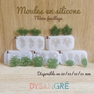 Può includere: Stampi in silicone trasparenti con forme di foglie e pezzi di resina verde glitterata a forma di foglia. Il testo sull'immagine dice "Moules en silicone Thème feuillage" e "Disponible en 20/25/30/35 mm".