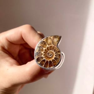 Ammonite Ring / 925 Solid Sterling Silver Ring / Round Shape Ring / Crystal Ring / Women Silver Jewelry / Boho Ring / Gift for Her