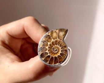 アンモナイト化石リング：スターリングシルバーのボヘミアン