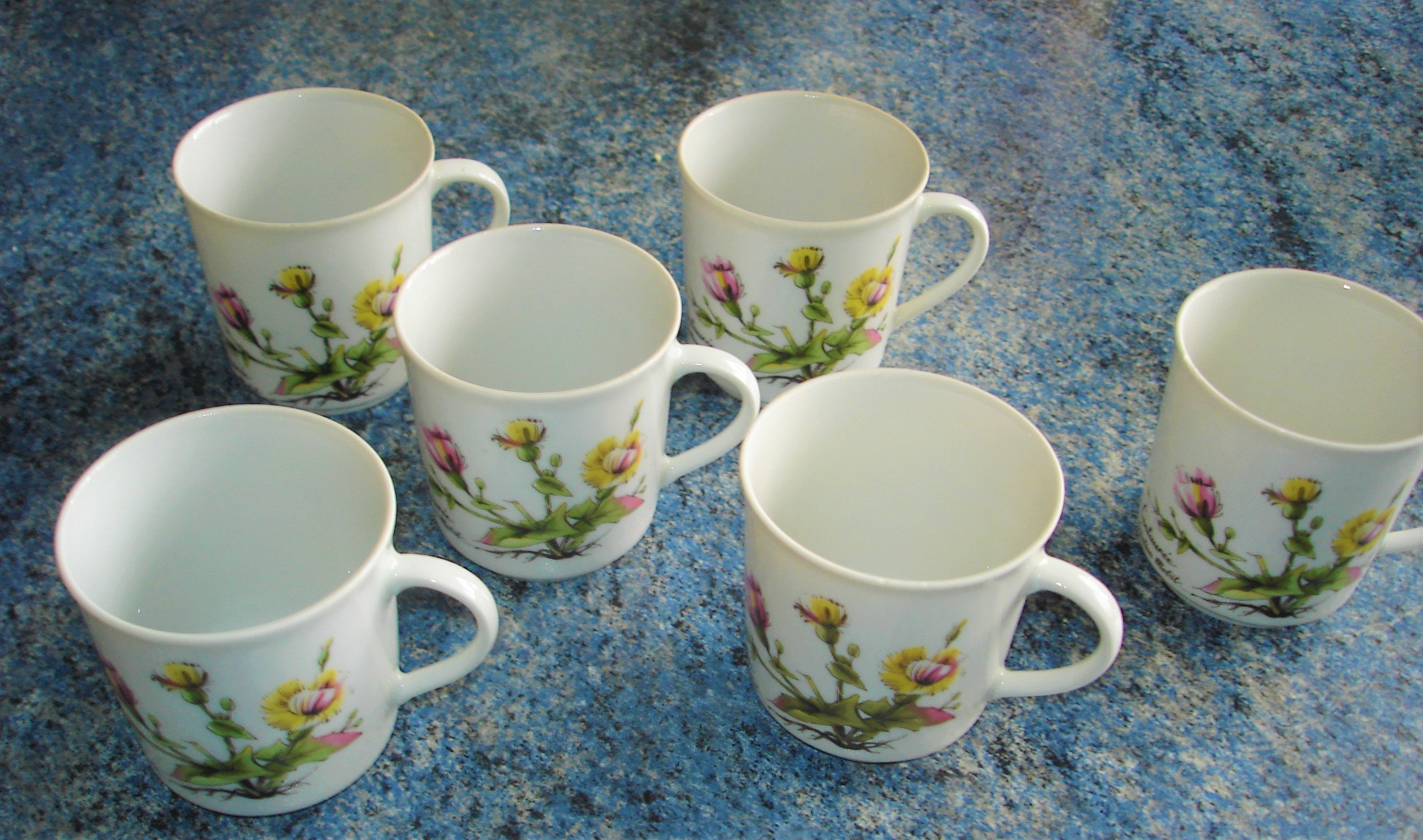 6 Tasses à Café Véritable Porcelaine Fine Winterling