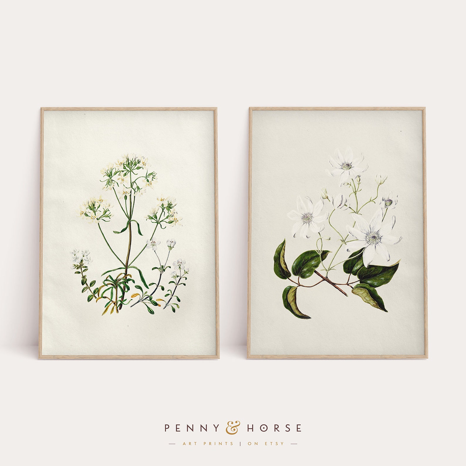 Vintage Floral Prints Set of 2 Prints Vintage Flowers Art Etsy UK