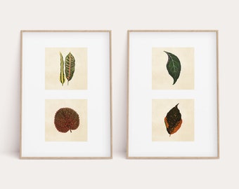 Vintage Botanical Print Set, Vintage Leaf Prints, Dark Leaves Printable, Greenery Wall Art, Kitchen Decor, Printable Art, Botanical Poster