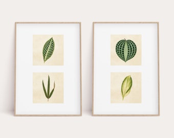 Vintage Green Leaf Prints: Botanical Kitchen Wall Art (Digital Download)