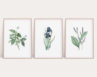 Vintage Floral Print Set: Antique Botanical Art (Digital Download)