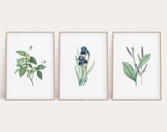 Minimal Floral Print Set, Set of 3, Vintage Flowers Art, Digital Download, Printable Vintage Art, Antique Floral Print, Antique Wall Decor