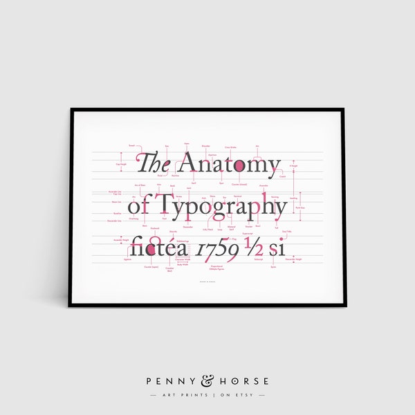 The Anatomy of Typography Poster, Type Poster, Lettering Style, Font Design, Typography Terms, Graphic Designer Gift, Studio Printable Art