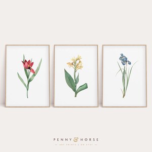 Vintage Bright Floral Print Set, Set of 3, Vintage Flowers Art, Digital Download, Printable Vintage Art, Antique Floral Print, Wall Decor