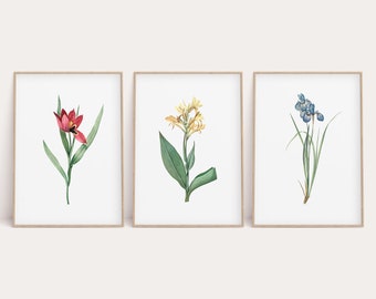 Vintage Floral Print Set: Antique Flower Wall Art (Digital Download)