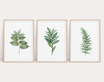 Vintage Botanical Print Set, Green Leaf Prints, Vintage Green Leaves, Greenery Wall Art, Kitchen Decor, Green Leaf, Set of 3, 3 Piece Poster