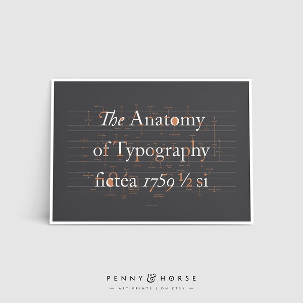 The Anatomy of Typography Poster, Font Design, Typography Terms, Type Poster, Lettering Style, Graphic Designer Gift, Studio Printable Art