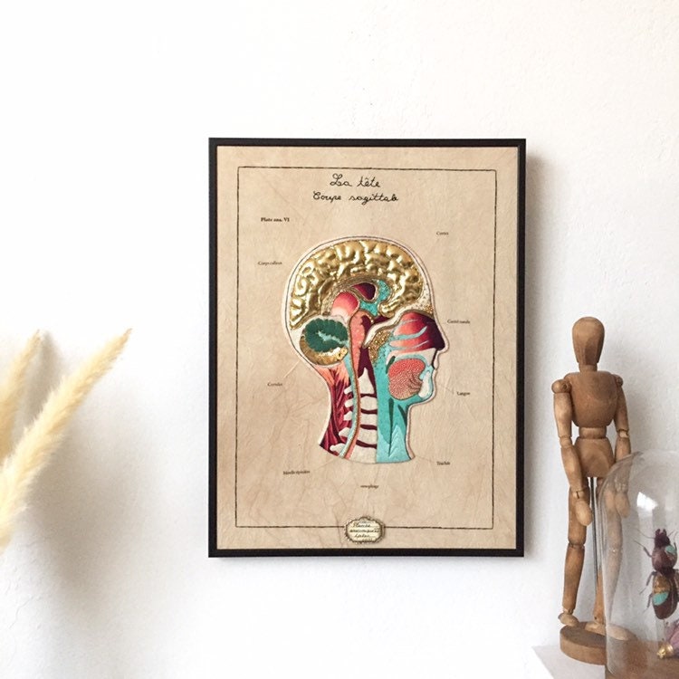 Planche Anatomique Vi La Tête , Cadre Anatomie Brodés, Brodé, Décoration Brodée