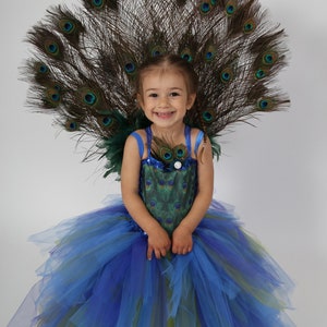 Children’s peacock costume, robe tutu: carnival costume, birthday girl gift, theatrical performance. Tulle dress with peacock wheel.