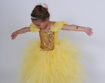 Donkey Skin princess dress, Beauty and the Beast dress, a tutu dress to offer at the next birthday, at Christmas.