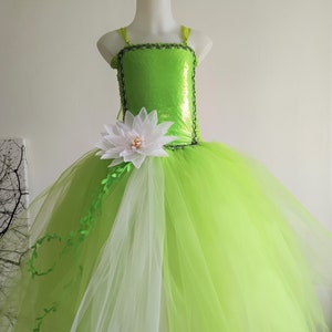 Princess dress, princess Tiana costume, tutu dress for children sizes 1 to 8 years: birthday gift, wedding, carnival costume... image 2