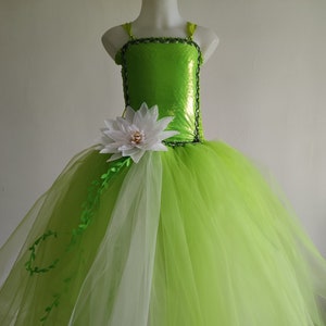 Princess dress, princess Tiana costume, tutu dress for children sizes 1 to 8 years: birthday gift, wedding, carnival costume... image 3