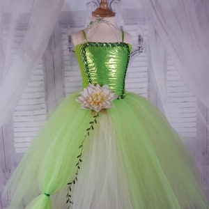 Costume Tiana de la princesse Disney et la grenouille - Grande taille - 1X  : : Jeux et Jouets