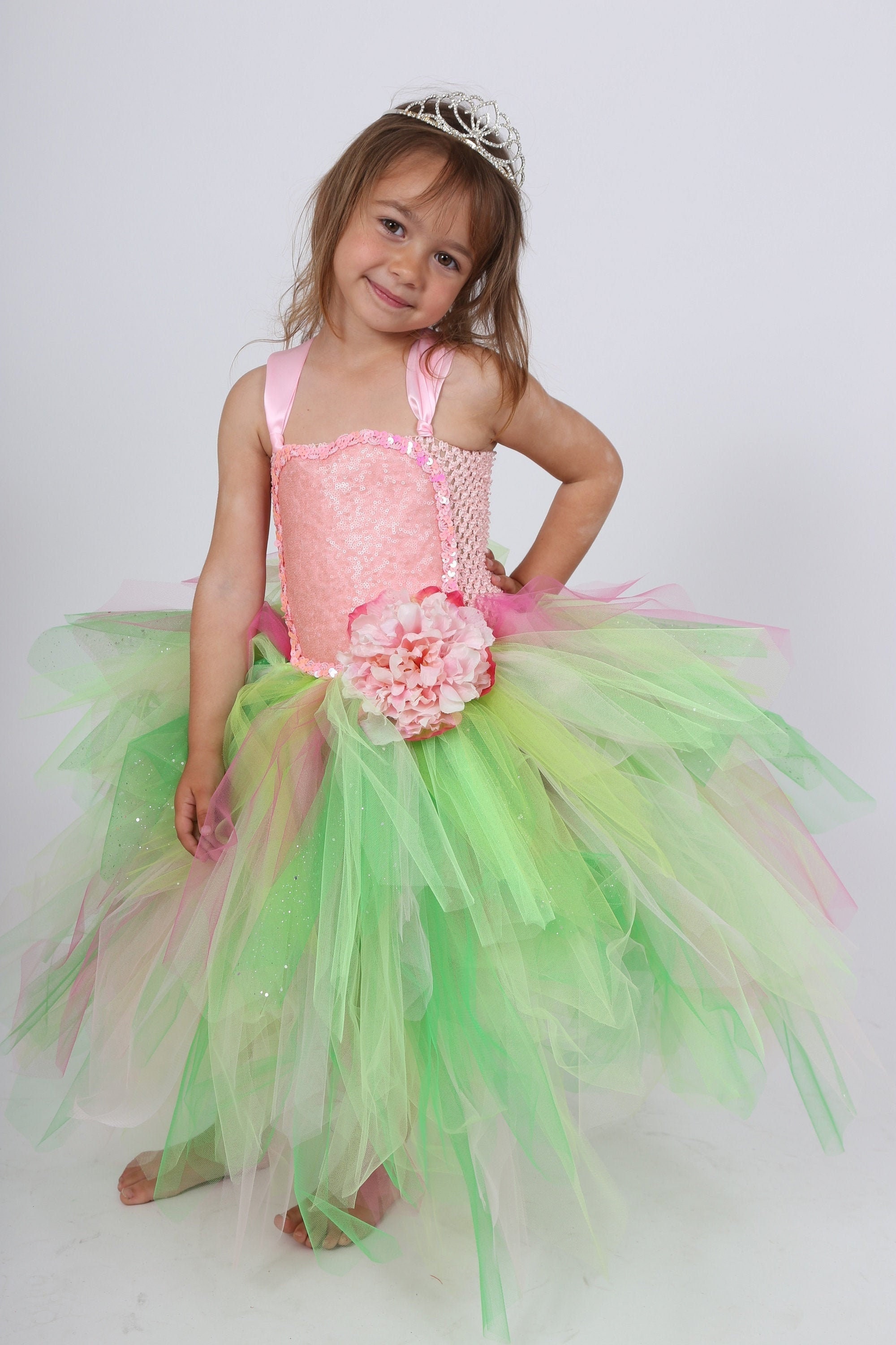 pink and green fairy costume