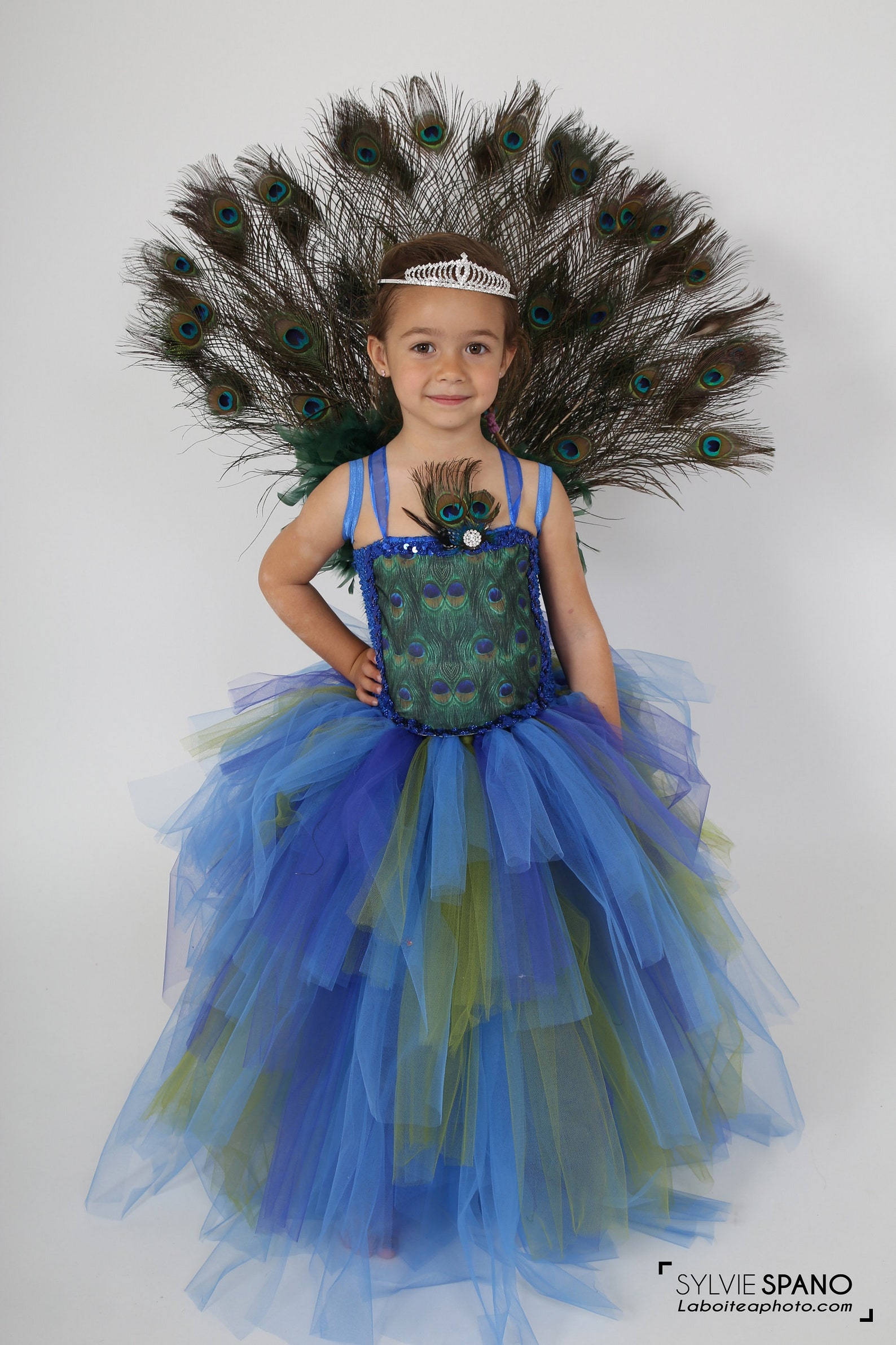 Déguisement de paon, robe tutu de paon, costume avec roue, robe de