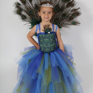 Un enfant porte un costume de paon. La tenue comprend une jupe tutu bleue et verte et un corsage orné de motifs de plumes de paon. Un grand éventail de plumes de paon est derrière l'enfant, et un diadème est sur sa tête.