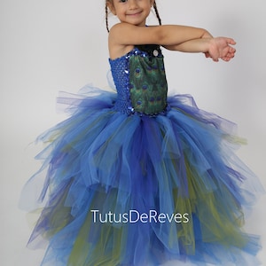 Une jeune fille porte un costume de paon. La robe présente un corsage bleu avec un motif de plumes de paon et une jupe en tulle bleue, verte et violette superposée. Un grand éventail de plumes de paon orne le dos.