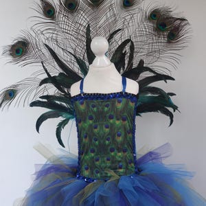 costume de paon. La robe présente un corsage bleu avec un motif de plumes de paon et une jupe en tulle bleue, verte et violette superposée. Un grand éventail de plumes de paon orne le dos.