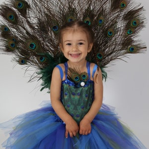 Une jeune fille porte un costume de paon. La robe présente un corsage bleu avec un motif de plumes de paon et une jupe en tulle bleue, verte et violette superposée. Un grand éventail de plumes de paon orne le dos.