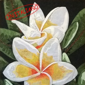 Può includere: Due fiori di frangipane bianchi con centri gialli e arancioni sono disposti su uno sfondo verde scuro. I fiori sono fatti di tessuto e hanno un aspetto delicato e stratificato.