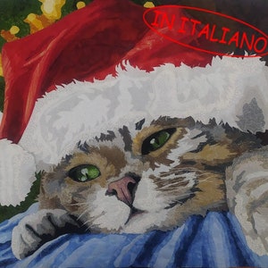 Può includere: Un gatto tigrato con un cappello di Babbo Natale rosso e bianco, con occhi verdi, è sdraiato su una coperta blu.